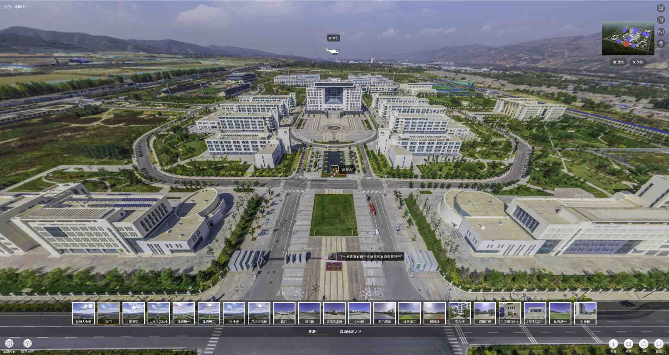 杂多油菜花-惊艳半生的花海仙境